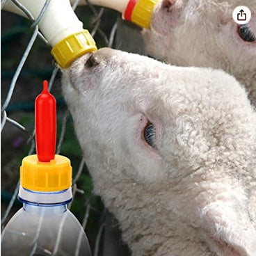 Small Nipple Soft Rubber Pacifier 1pc