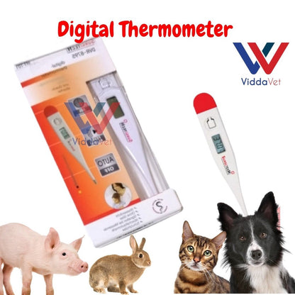 Digital Thermometer