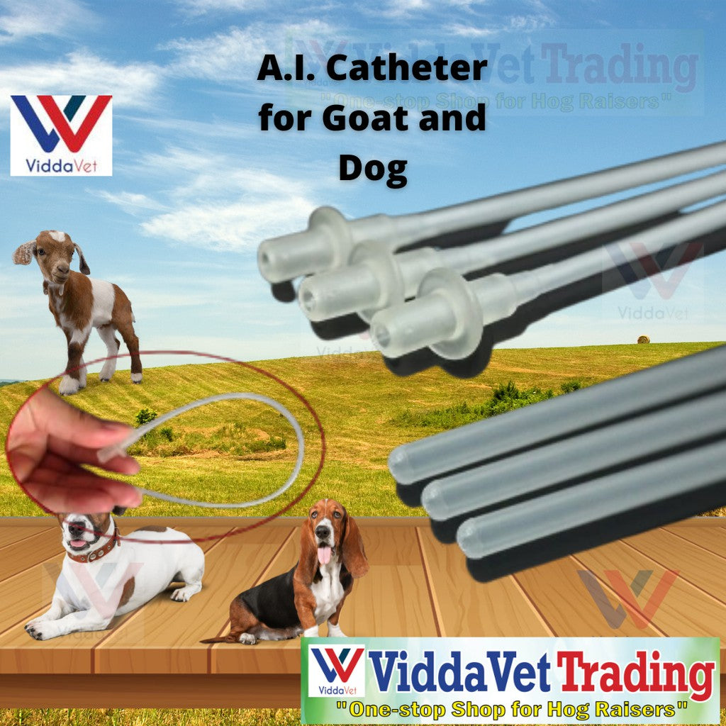 Disposable AI Catheter For Dog 10 Pcs