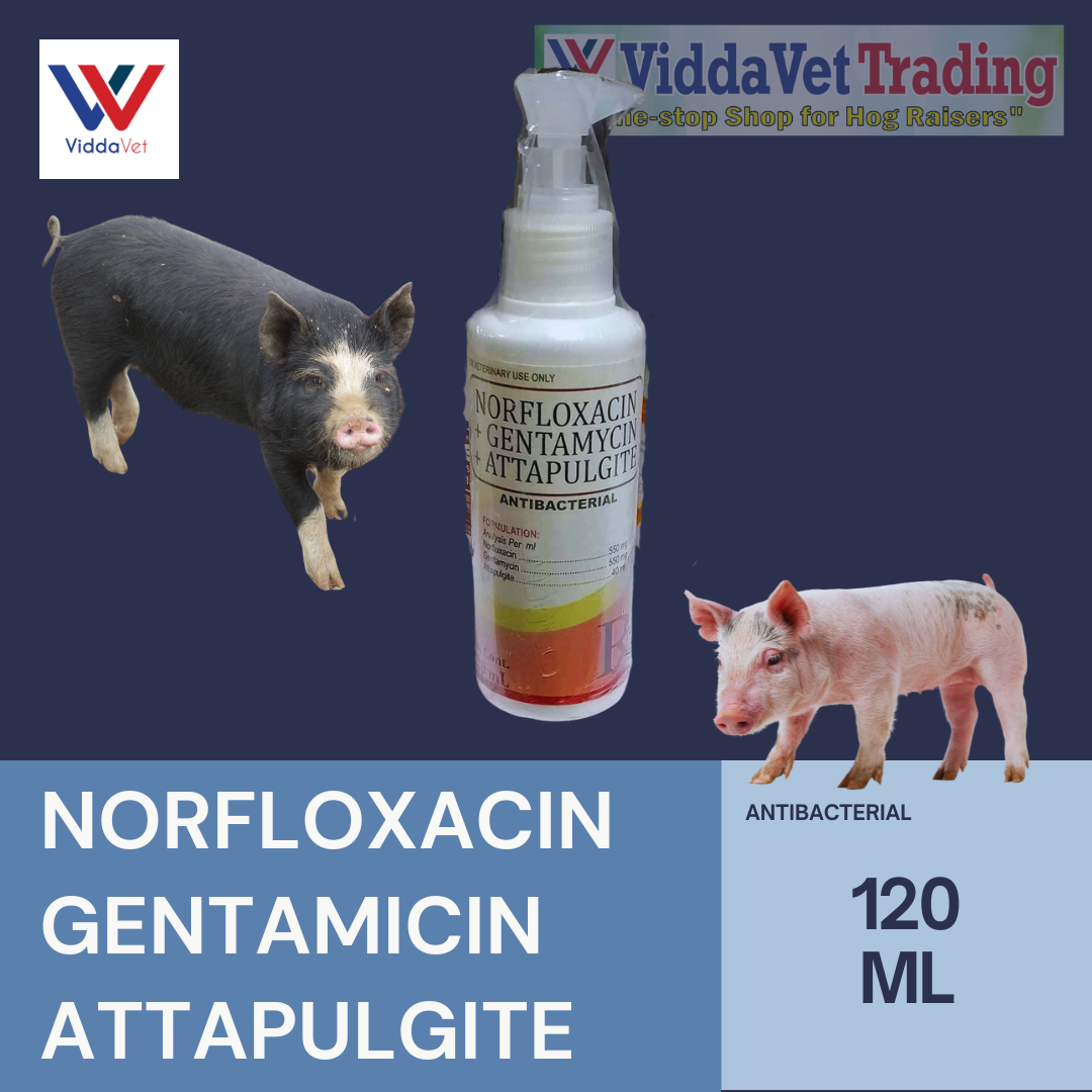 Norflox 120ml