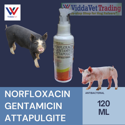 Norflox 120ml