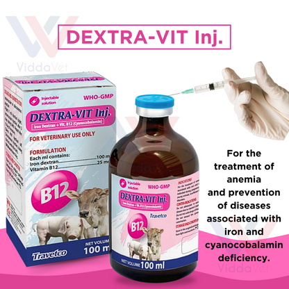 Dextra-Vit Inj. 100ml