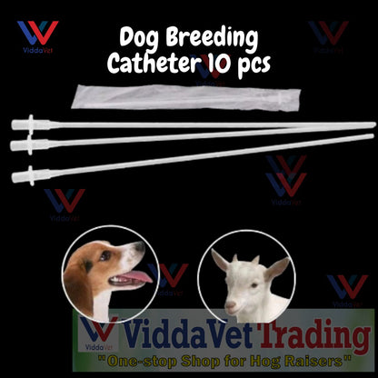 Disposable AI Catheter For Dog 10 Pcs