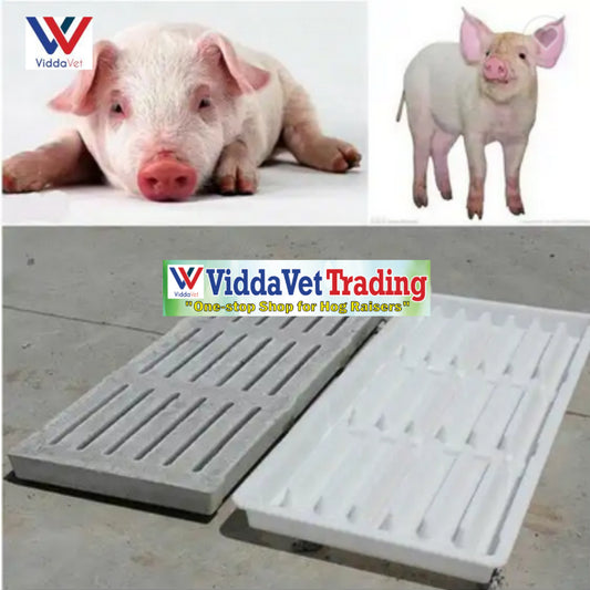 Plastic Concrete Molder