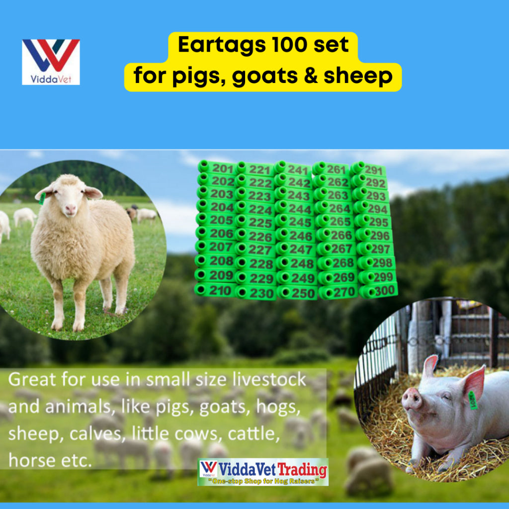 100 pcs Ear Tag Square Small with Number (Yellow/Blue/Green/Orange)