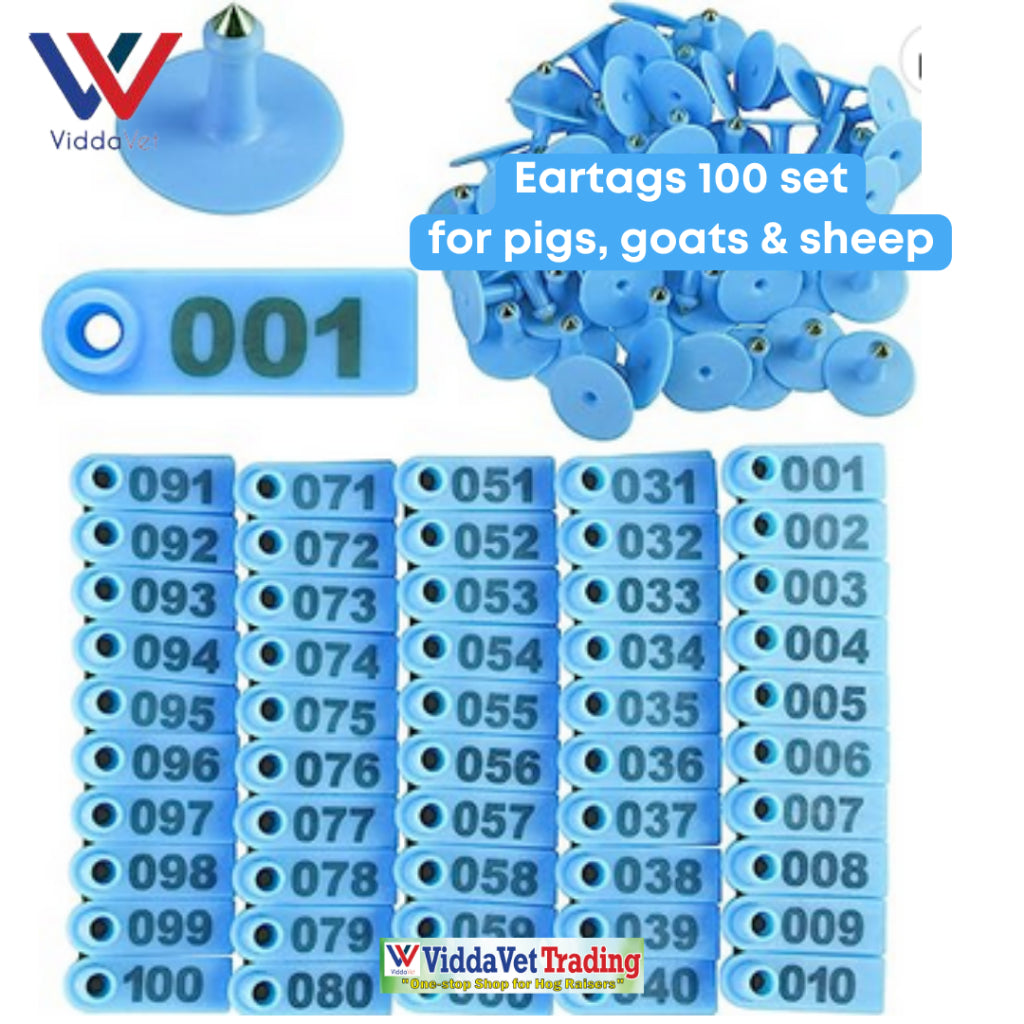 100 pcs Ear Tag Square Small with Number (Yellow/Blue/Green/Orange)