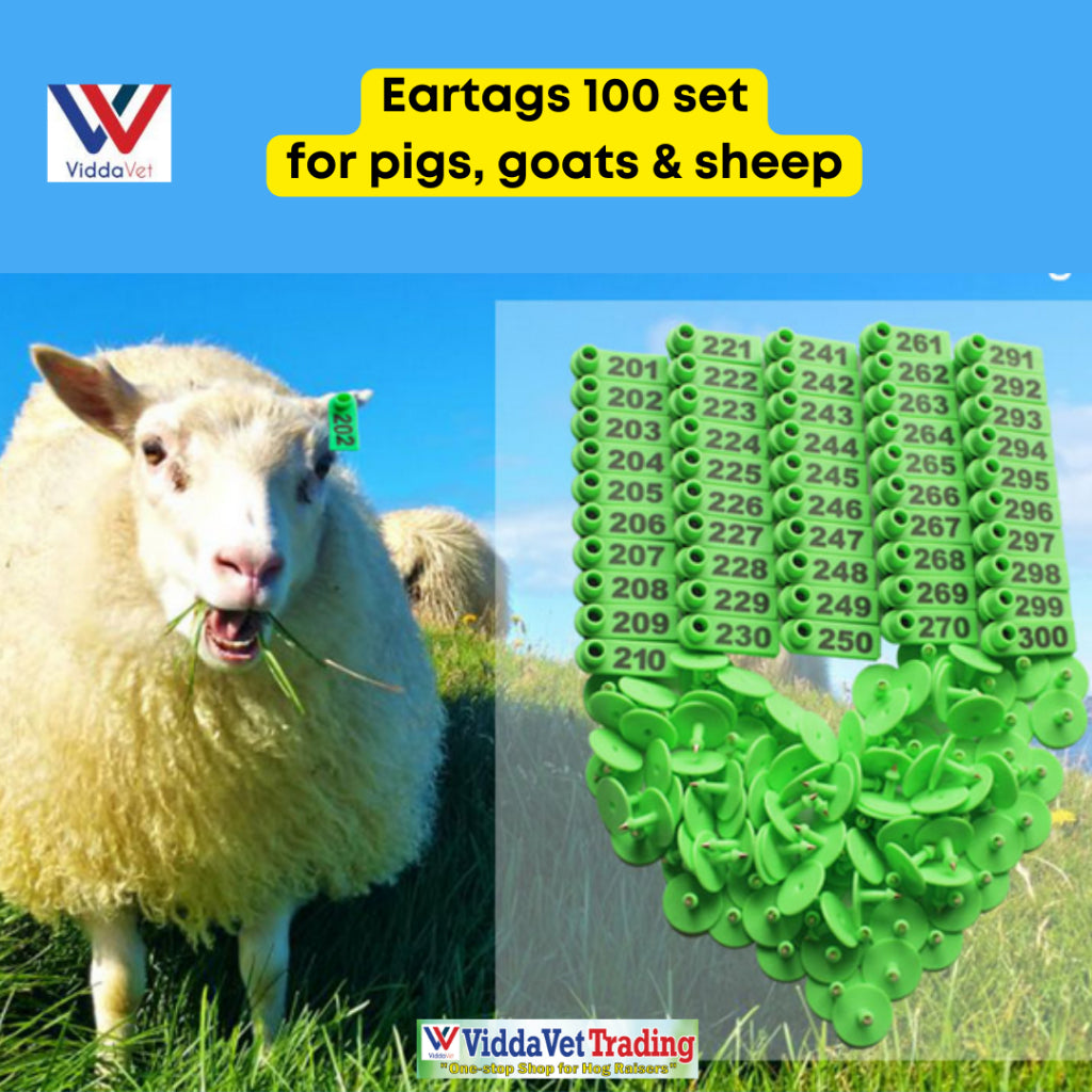 100 pcs Ear Tag Square Small with Number (Yellow/Blue/Green/Orange)