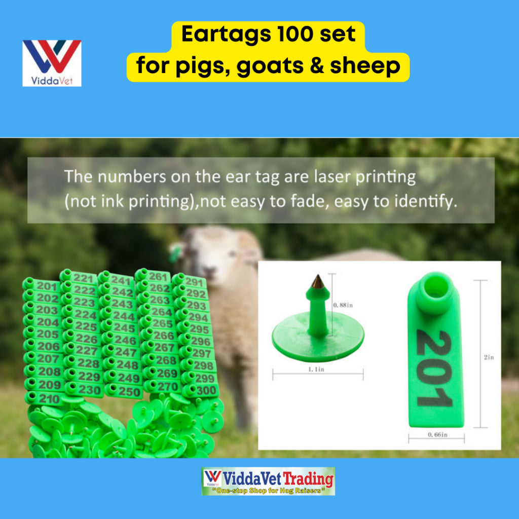 100 pcs Ear Tag Square Small with Number (Yellow/Blue/Green/Orange)