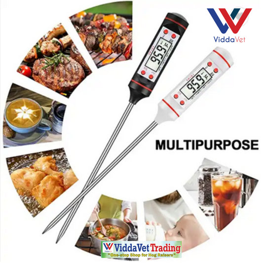 Stainless Digital Thermometer