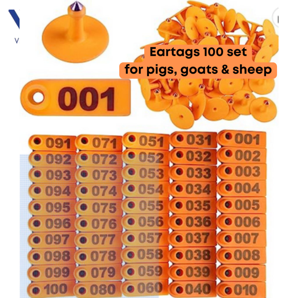 100 pcs Ear Tag Square Small with Number (Yellow/Blue/Green/Orange)
