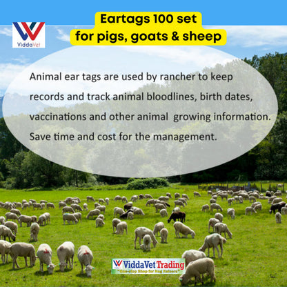 100 pcs Ear Tag Square Small with Number (Yellow/Blue/Green/Orange)