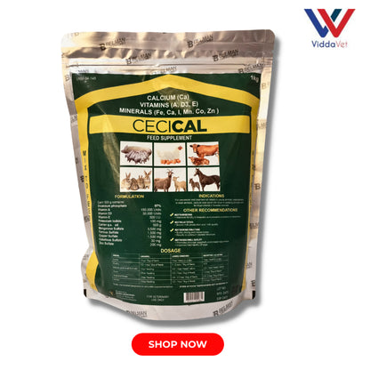 1 kg Cecical + 1 kg V22 powder cecical powder 200g belman products cecical 1kg cecical and v22