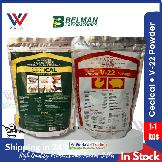 1 kg Cecical + 1 kg V22 powder cecical powder 200g belman products cecical 1kg cecical and v22