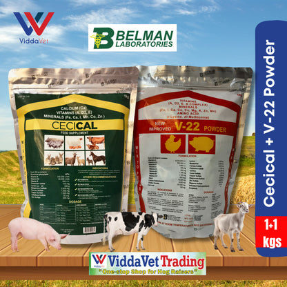 1 kg Cecical + 1 kg V22 powder cecical powder 200g belman products cecical 1kg cecical and v22