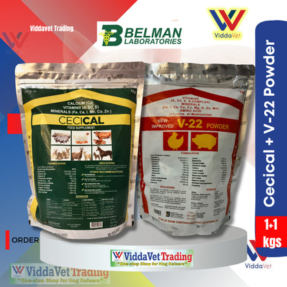 1 kg Cecical + 1 kg V22 powder cecical powder 200g belman products cecical 1kg cecical and v22