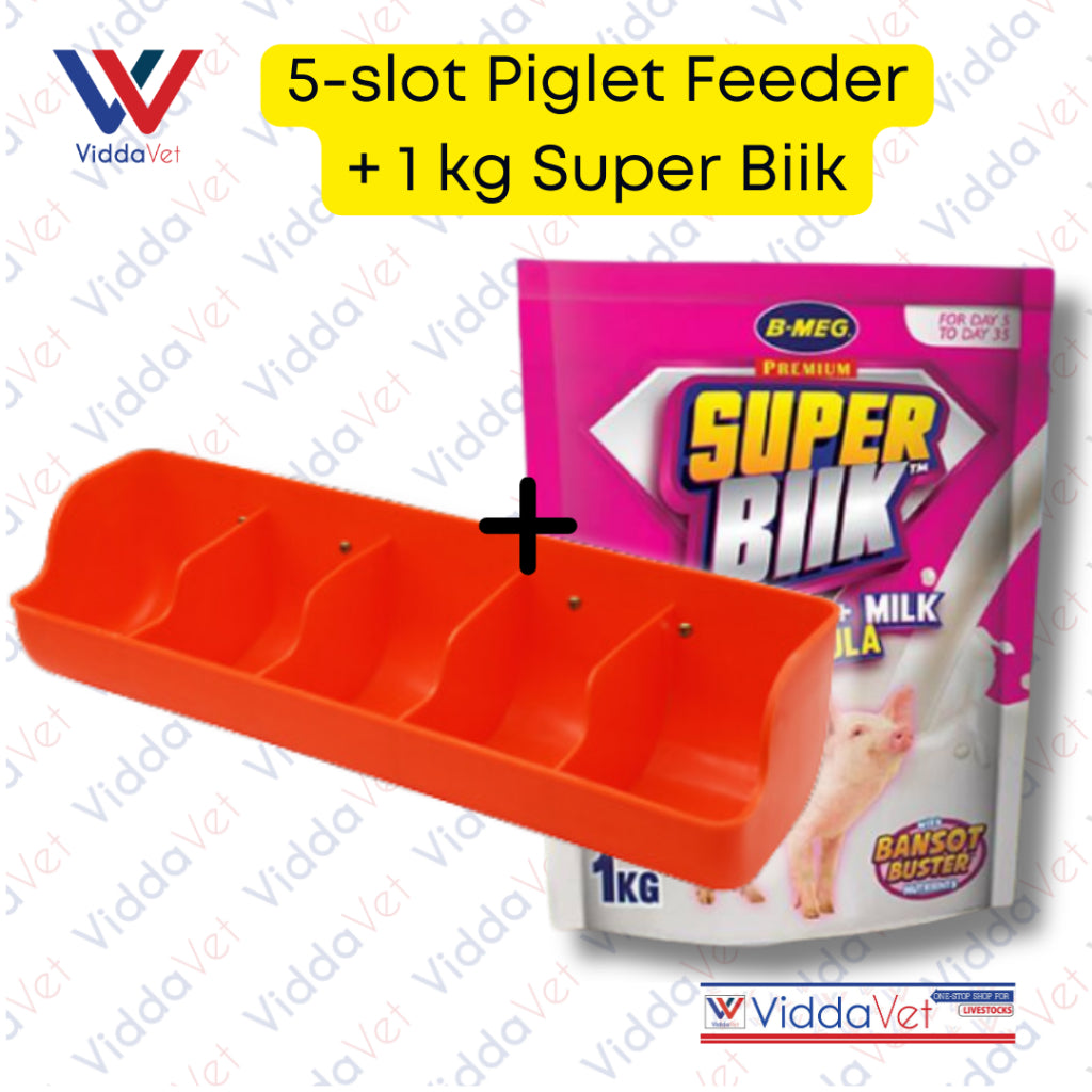 Piglet Plastic Feeder with B Meg Super Biik Booster Milk