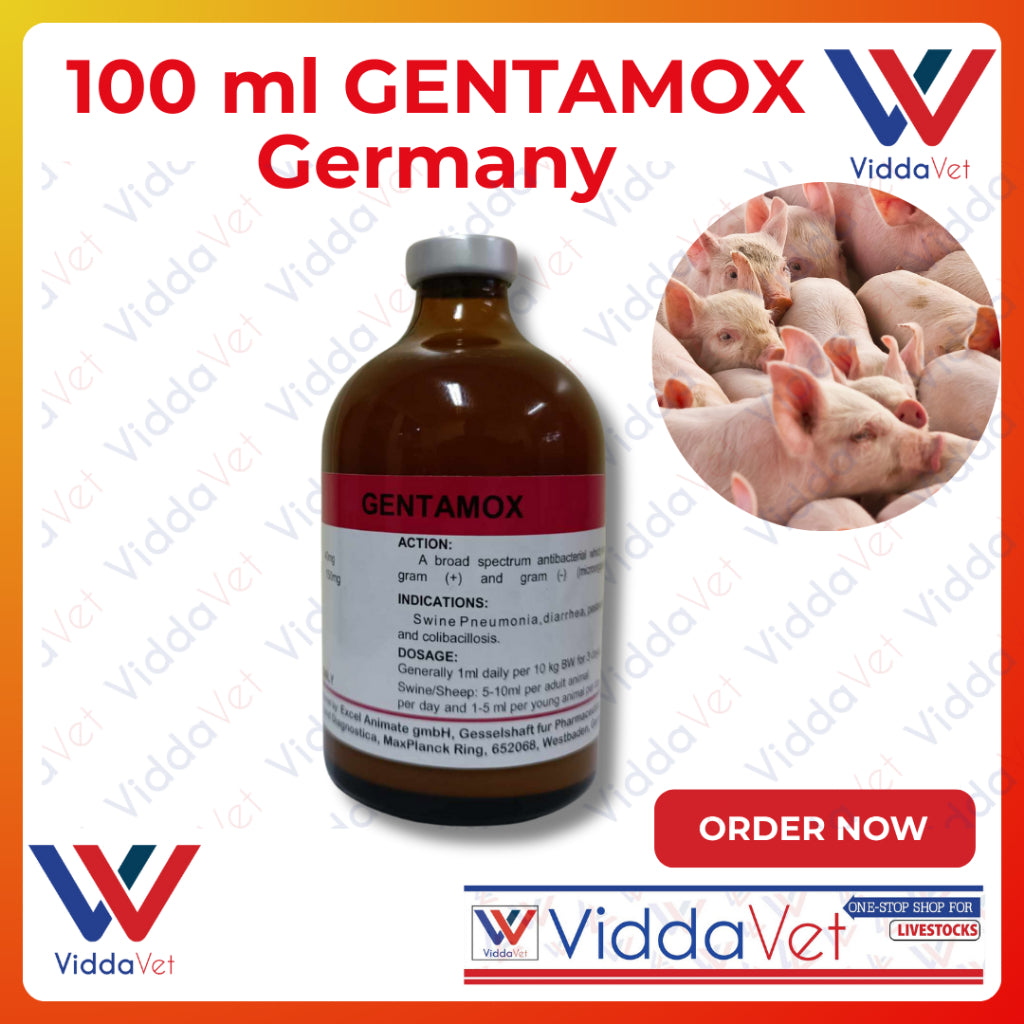 Gentamox Germany 100 mL