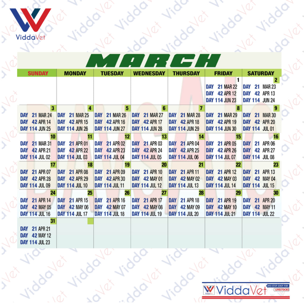 Pig Breeding Calendar 2025