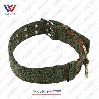 Army Green Dog Collar S/M/L (1pc)