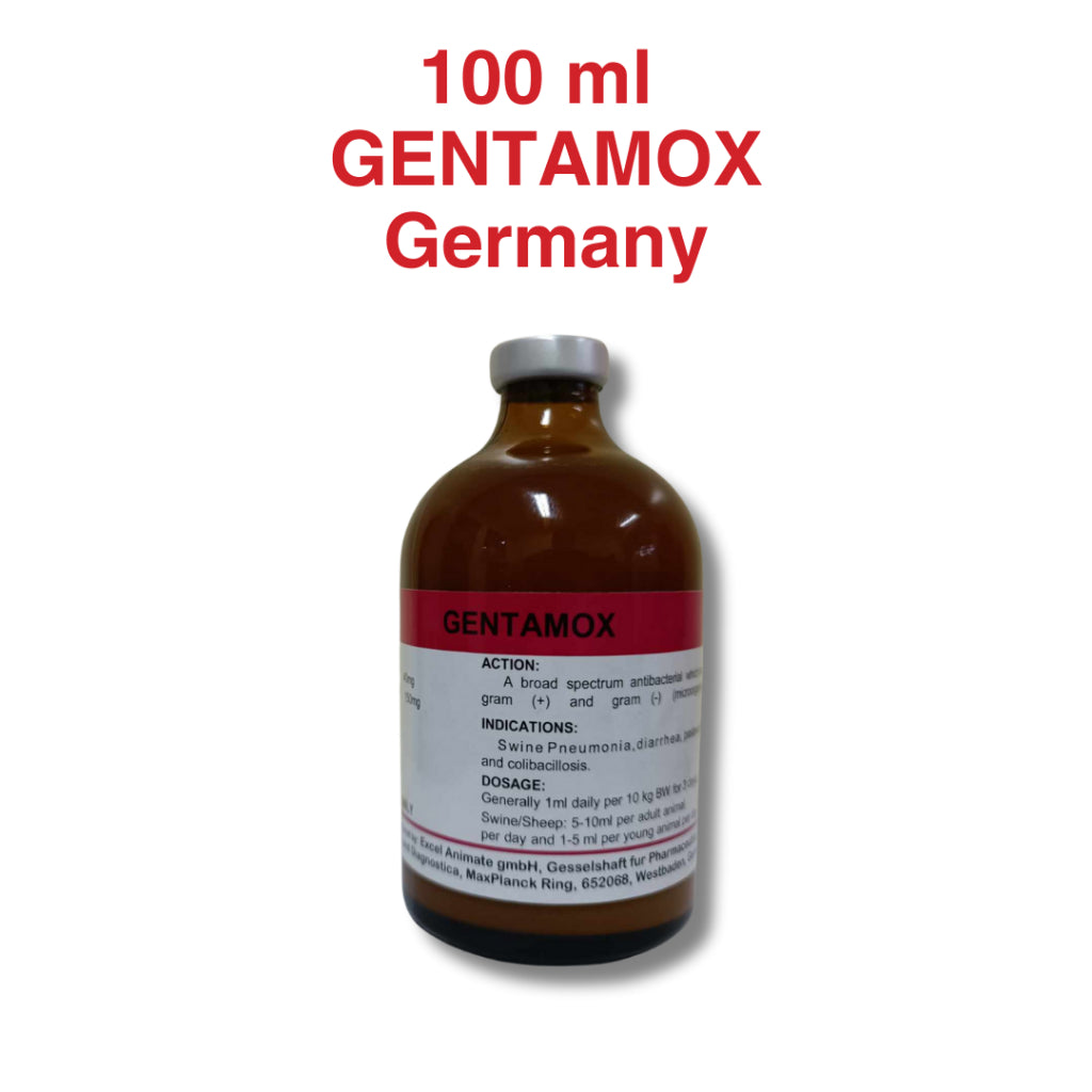 Gentamox Germany 100 mL