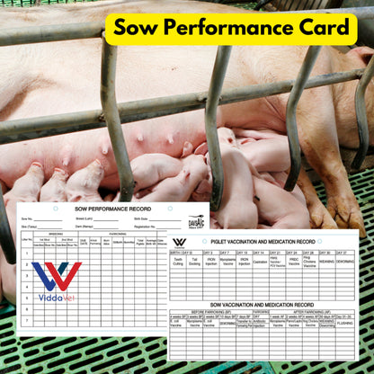 Sow Performance Card PVC
