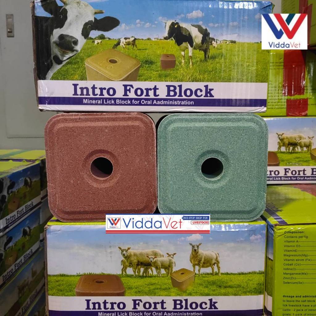 Mineral Block Intro Fort