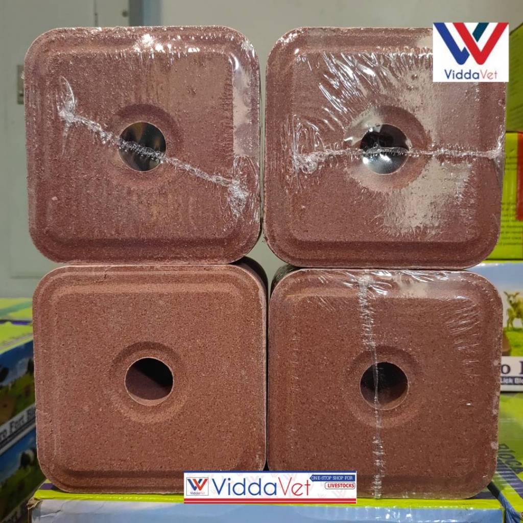 Mineral Block Intro Fort