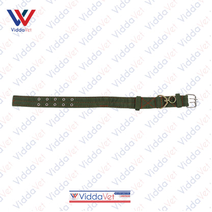 Army Green Dog Collar S/M/L (1pc)