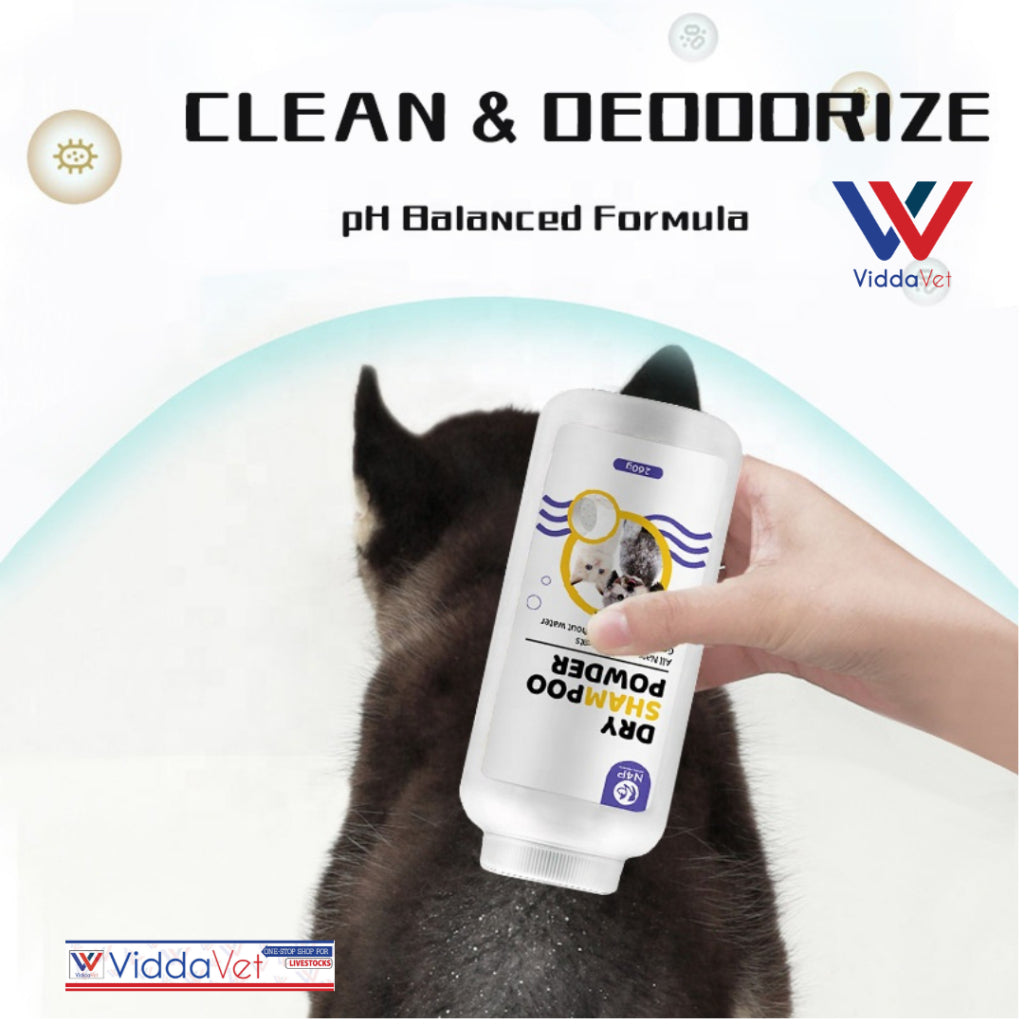 N4P Dry Shampoo 260g