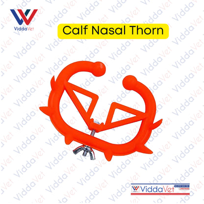 Calf Nasal Thorn