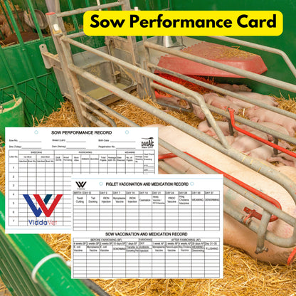 Sow Performance Card PVC