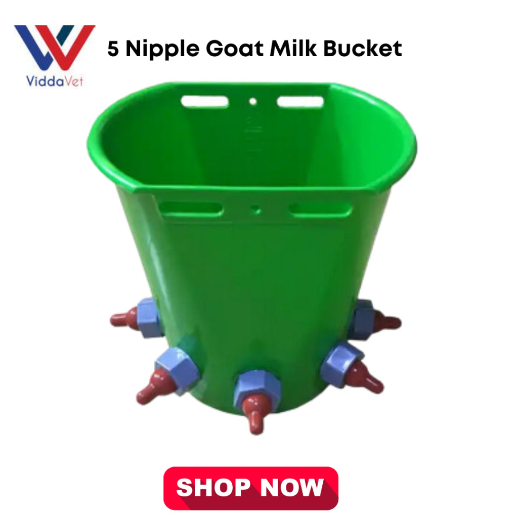5 Nipples Goat/Sheep Milk Bucket 8L