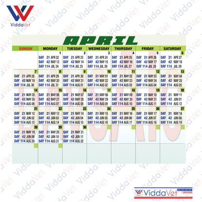 Pig Breeding Calendar 2025