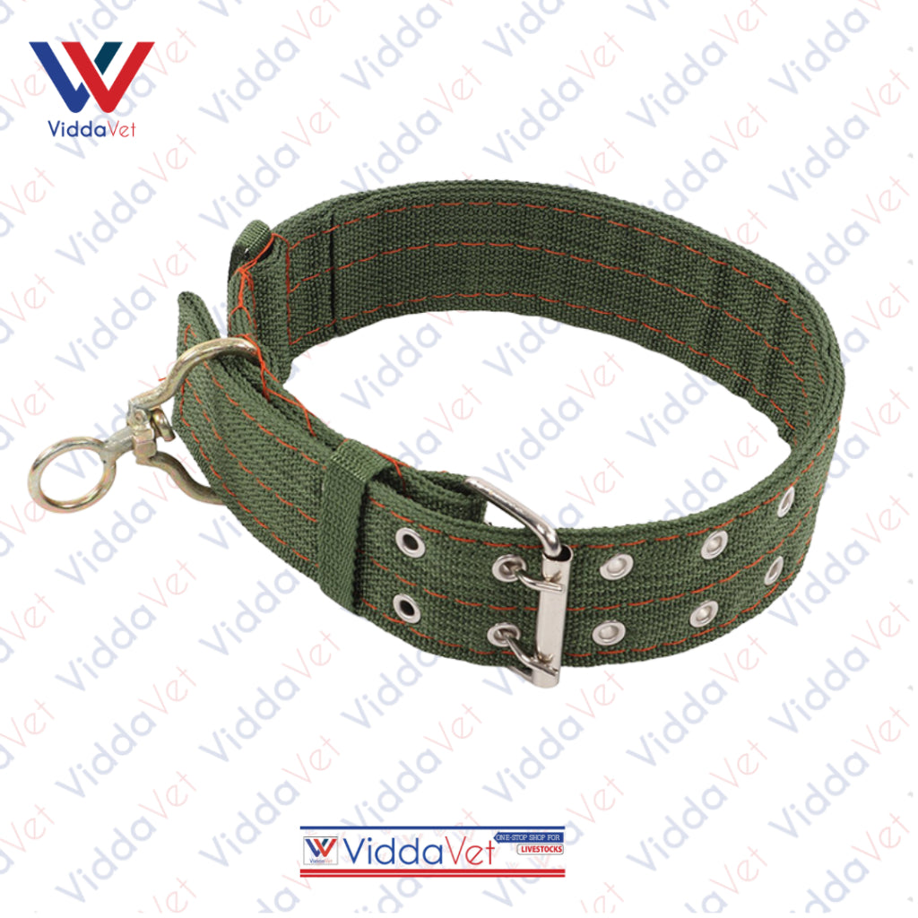 Army Green Dog Collar S/M/L (1pc)