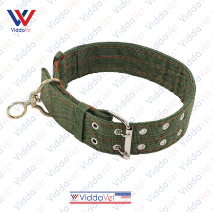 Army Green Dog Collar S/M/L (1pc)