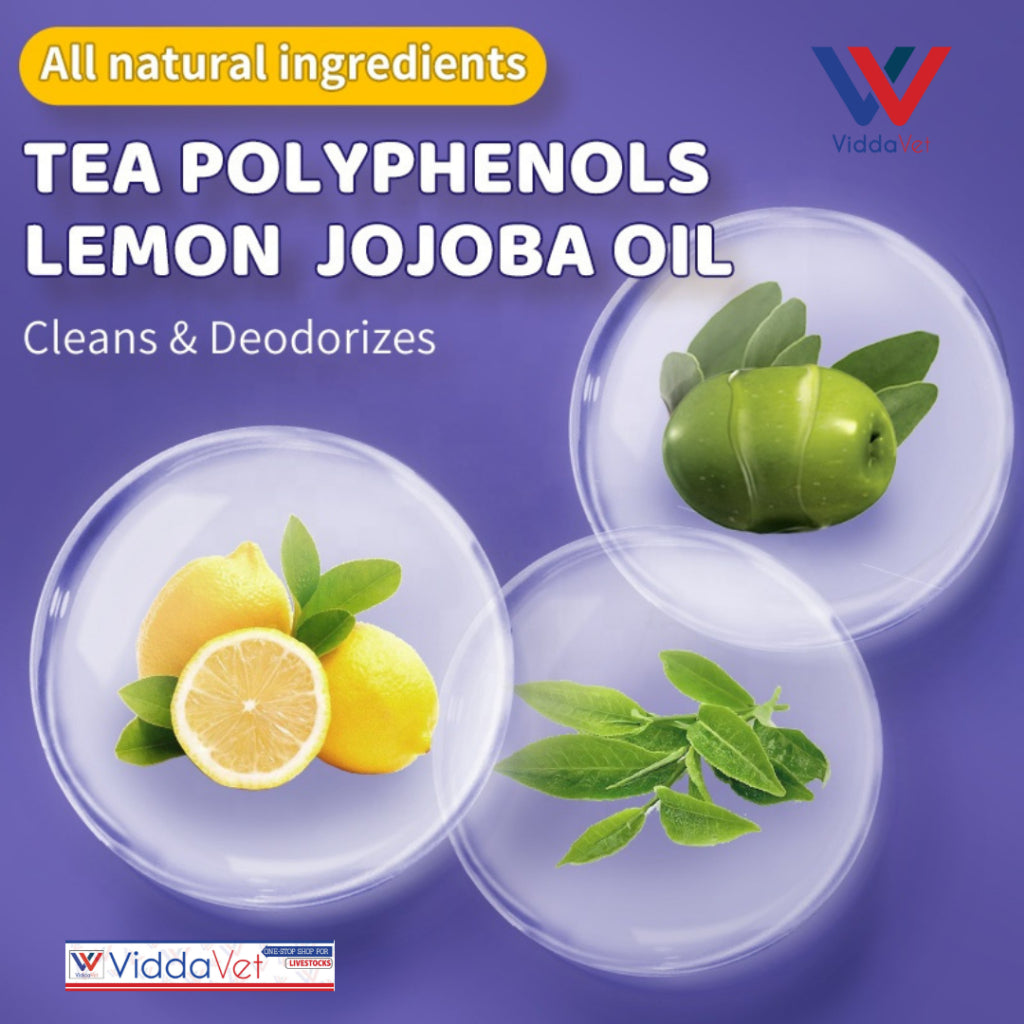 N4P Dry Shampoo 260g