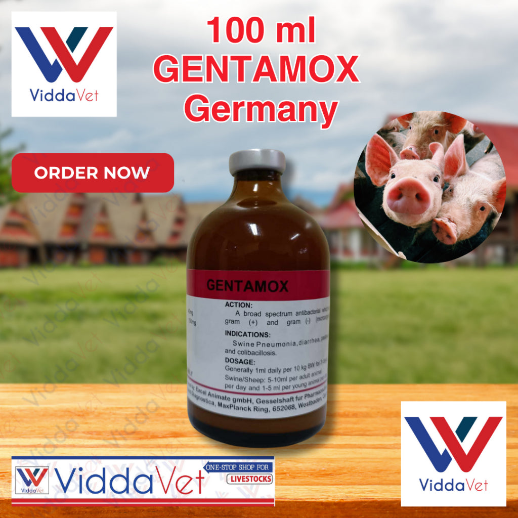 Gentamox Germany 100 mL