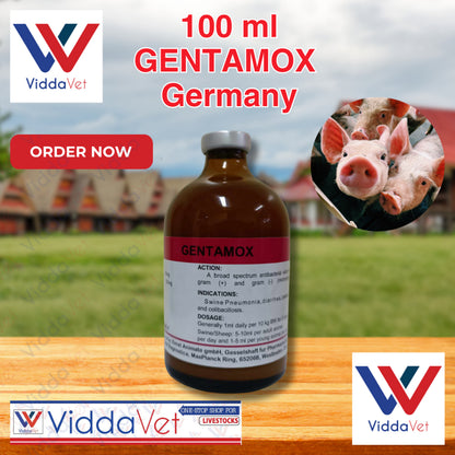 Gentamox Germany 100 mL
