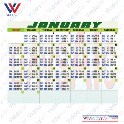 Pig Breeding Calendar 2025