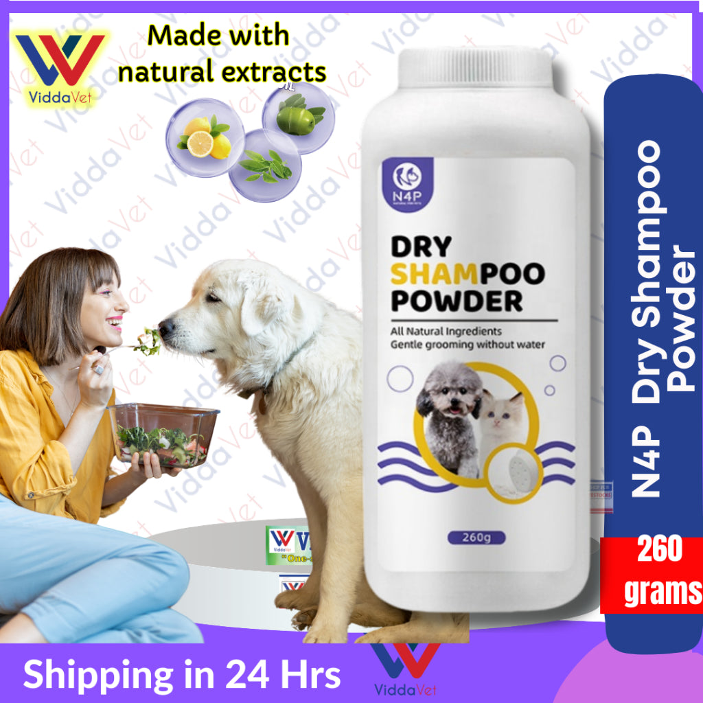 N4P Dry Shampoo 260g