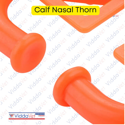 Calf Nasal Thorn