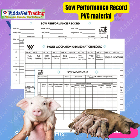 Sow Performance Card PVC