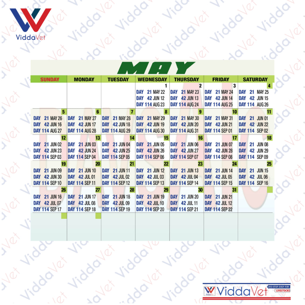 Pig Breeding Calendar 2025