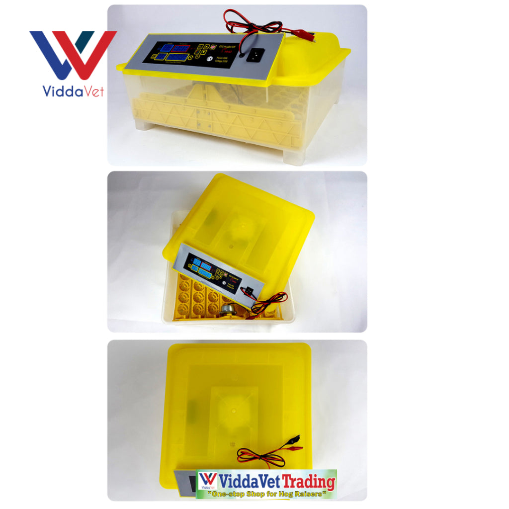 Automatic Egg Incubator 48/112