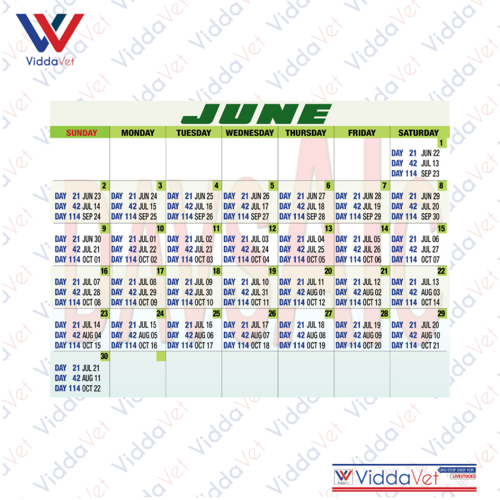 Pig Breeding Calendar 2025