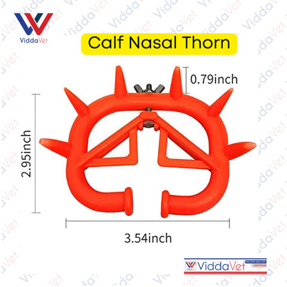 Calf Nasal Thorn