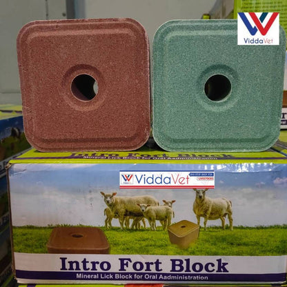 Mineral Block Intro Fort