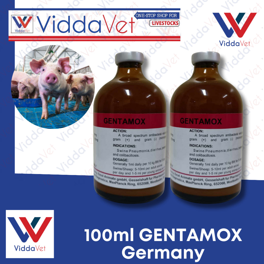 Gentamox Germany 100 mL