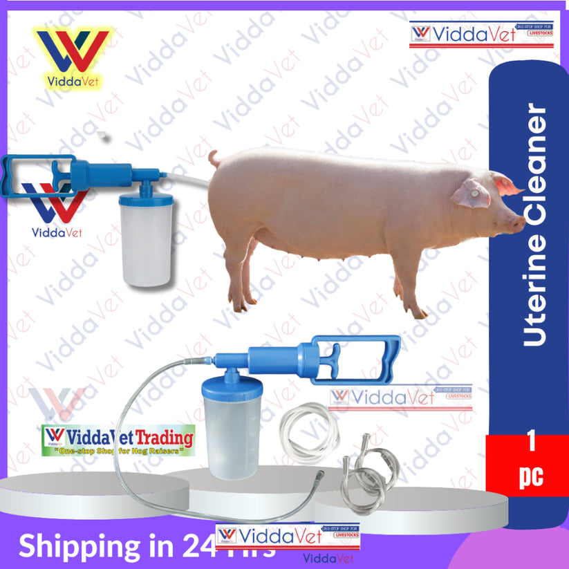 Pig Uterine Cleaner 500ml - Professional Livestock Irrigator | Viddavet ...