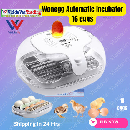 Automatic Egg Incubator 16 Eggs Capacity